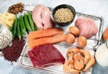 Qué alimentos no deben llevar quienes viajen a la Patagonia para resguardar la sanidad