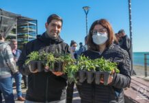El Municipio entregó 40.000 plantines a vecinos y vecinas de la ciudad