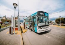 Horarios de frecuencias de colectivos en Ushuaia para este fin de año