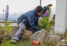 Río Grande: Continúan los trabajos de embellecimiento de la ciudad