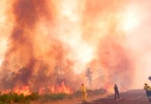 Incendios en Corrientes: ya se quemó el 11% de la provincia