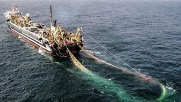 El gobierno británico de las Malvinas otorga cuotas de pesca a 25 años - El Faro Noticias