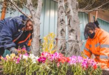 Ushuaia: Embellecen distintos puntos de la ciudad