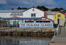 Las islas Malvinas exportan por US$ 298 millones: Cuál es su principal recurso