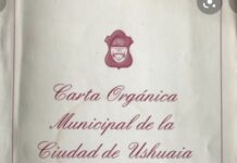 Los Libertarios y la Reforma de la Carta Orgánica: “Es una excusa para que puedan participar de una reelección”