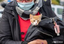 En Río Grande vacunaron contra la rabia a casi 400 animales