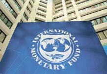 El FMI elevó sus proyecciones de crecimiento de Argentina a 4% para 2022