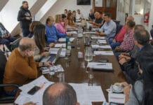 Continúa el debate por Terra Ignis S.A.