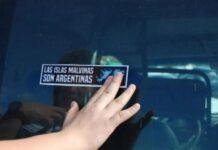 El transporte público deberá incluir la frase “Las Islas Malvinas son argentinas”