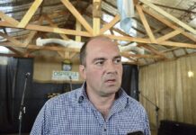 “Hay un peronismo que también integra Juntos por el Cambio”