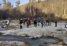 Reunión entre especialistas en Ushuaia para analizar problemática del castor