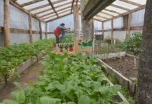 Avanza el diseño de una nueva carrera en Río Grande: Ingeniería en Agroecología