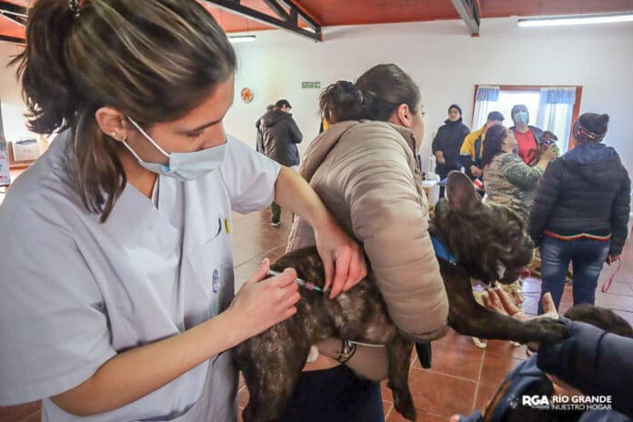 Jornada Vacunación (4)
