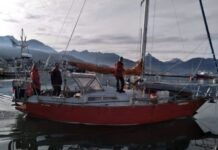 Identificaron al velero que embistió una ballena en el Canal Beagle