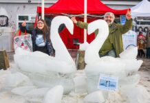 Los cisnes de Laguna CAMI fue la mejor escultura en hielo de Tolhuin