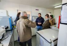 Gobierno busca aumentar la producción ganadera fueguina