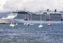 En Ushuaia esperan la llegada de 540 cruceros durante esta temporada