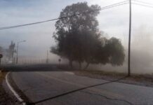 Alerta por vientos intensos