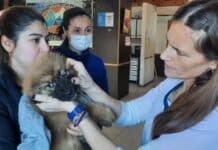 “Zoonosis más cerca” en el barrio Kaupen de Ushuiaia