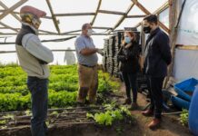 Productores de Río Grande podrán regularizar sus tierras