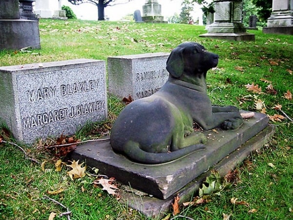 En Río Grande proponen un cementerio municipal para mascotas