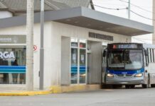 Elecciones 2023: En Río Grande, el boleto de colectivos será gratuito durante todo el día