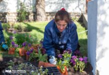 Inició el plan de embellecimiento y forestación en Río Grande