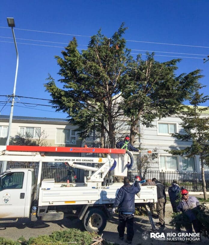 photo_5042193891159288454_y