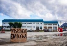 Ambassador vuelve a producir