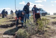 Minibosques en toda la ciudad