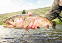 Comenzó la temporada de pesca deportiva 2022-2023