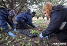 En Río Grande se lleva adelante el plan de embellecimiento de la ciudad