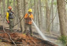 Cómo se puede ayudar a los combatientes del incendio en el Corazón de la Isla