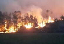 Divulgaron un audio del presunto autor del incendio en el Corazón de la Isla