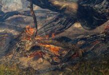 Más de 40 brigadistas trabajan para conbatir el fuego bajo condiciones climáticas extremas