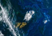 Una foto de la NASA muestra a las Malvinas “frente a la costa de Argentina”