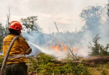 Al día de hoy, los incendios en la Reserva Corazón de la Isla “están controlados”