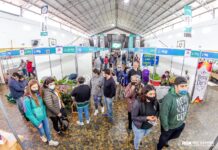 Se viene la 2° Expo Agroproductiva de Río Grande