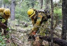 Nación aporta 85 brigadistas para el combate del incendio forestal