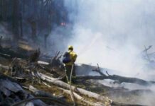 “Acá no hay incendios de otra naturaleza, acá no hay rayos, es acción del hombre”