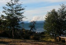 Suspendieron la 20° Fiesta Provincial de la Lenga en Tolhuin