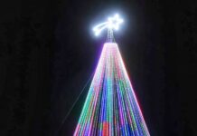 Hoy se ilumina el tradicional Árbol de Navidad