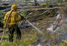 Llegan otros 50 brigadistas para combatir el fuego en el Corazón de la Isla