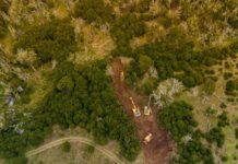 Cómo es el estado de situación del incendio en la reserva Corazón de la Isla