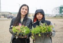 El Municipio entregó 50 mil plantines a vecinos de Río Grande