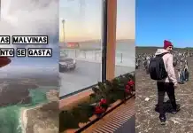 Visitó las Islas Malvinas y contó cuánta plata necesitás para estar una semana