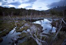 La provincia tiene nuevas leyes para cuidar el medio ambiente