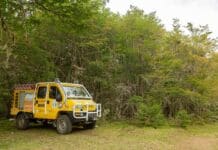 Los incendios ya estan controlados