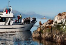 Dictarán el curso de marinero de zona especial canal Beagle para el sector pesquero