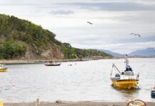 Se levanta la veda de moluscos bivalvos en Almanza y Punta Paraná